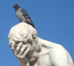 pigeon-statue